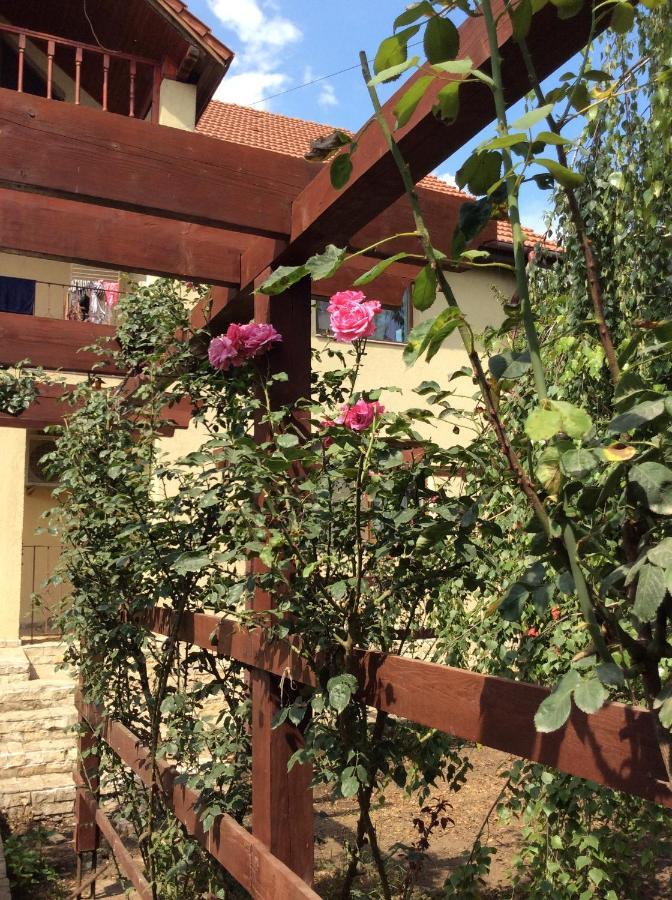 Villa Rosa Năvodari Esterno foto