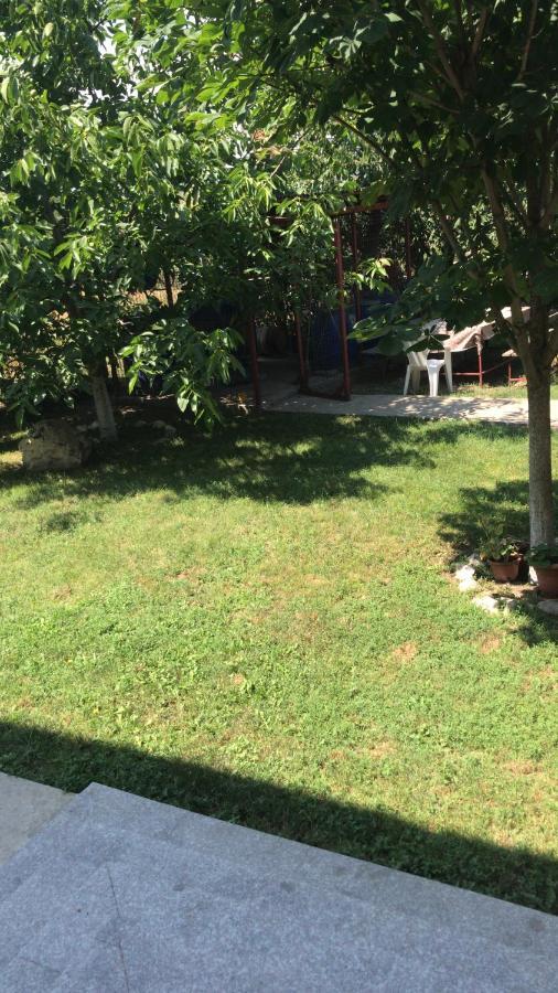 Villa Rosa Năvodari Esterno foto